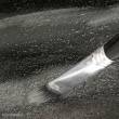 AK-Interactive AK8013 - Terrains Asphalt - 250ml (Acryl)