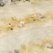 AK-Interactive AK8020 - Terrains Desert Sand - 250ml (Acryl)