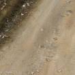 AK-Interactive AK8021 - Terrains Light Earth - 250ml (Acryl)