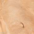 AK-Interactive AK8022 - Terrains Sandy Desert - 250ml