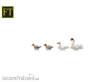 Halling F-024 - Ente, Gans und Schwan, handbemalt