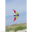 HQ 117607 - Cirrus Ruby