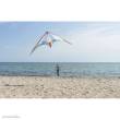 Invento 117609 - HQ Shade Leichtwind-Drachen 215 cm