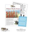 Warlord Games 202014003 - Ashigaru Missile Troops