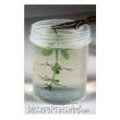 AK-Interactive AK8042 - Leaves & Plants Neutral Protection