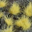 Gamers Grass GG12-BE - Beige 12mm XL Tufts (Wild)