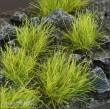 Gamers Grass GG12-JU - Jungle 12mm XL Tufts (Wild)