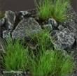 Gamers Grass GG12-SG - Strong Green 12mm XL Tufts (Wild)