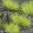 Gamers Grass GG12-LG - Light Green 12mm XL Tufts (Wild)