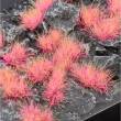 Gamers Grass GGA-PK - Alien Pink 6mm Tufts (Wild)