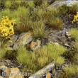 Gamers Grass GGSET-HL - Highland Tuft Set (Wild)