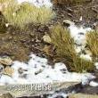 Gamers Grass GGB-WR100 - Round Winter Base 100mm (x1)