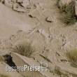 Gamers Grass GGB-ASR100 - Round Arid Steppe Base 100mm