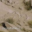 Gamers Grass GGB-ASO170 - Ovale Arid Steppe Base 170mm