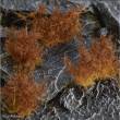Gamers Grass GGK-B - Spikey Brown 12mm (Wild)