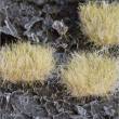 Gamers Grass GG12-W - Winter 12mm XL Tufts (Wild)