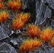 Gamers Grass GGA-FT - Alien Fire Tuft 6mm (Wild)