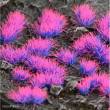 Gamers Grass GGA-NE - Alien Neon Tuft 4mm (Wild)