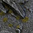 Gamers Grass GGTT-DM - Tiny Tufts Dark Moss