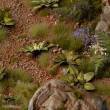 Gamers Grass GGLP-DC - Dumb Cane