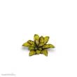 Gamers Grass GGLP-DC - Dumb Cane