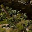 Gamers Grass GGLP-LAL - Lords-and-Ladies