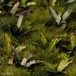 Gamers Grass GGLP-BT - Banana Tree