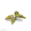 Gamers Grass GGLP-EE - Elephant Ear