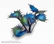 Gamers Grass GGLP-AF - Alien Flytrap