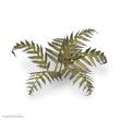 Gamers Grass GGLP-GB - Bracken