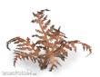 Gamers Grass GGLP-DB - Dry Bracken