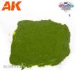 AK-Interactive AK1217 - Plague Ground 100 ml.