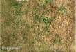 PWork Wargames PWGM03800N4X6 - Neoprene Mat Woodland 4x6