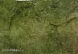 PWork Wargames PWGM03800N4X6 - Neoprene Mat Woodland 4x6