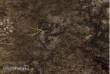 PWork Wargames PWGM00900N44X60 - Neoprene Mat Deadland 44x60