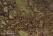 PWork Wargames PWGM00900N44X60 - Neoprene Mat Deadland 44x60