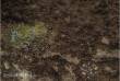 PWork Wargames PWGM00900N44X60 - Neoprene Mat Deadland 44x60