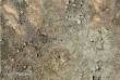 PWork Wargames PWGM03700N44X60 - Neoprene Mat Wasteland 44x60