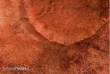 PWork Wargames PWGM01600N44X60 - Neoprene Mat Lands of Mars 44x60