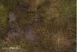 PWork Wargames PWGM02200N4X6 - Neoprene Mat Outlander 4x6