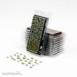 Gamers Grass GGLP-PL - Plantain Lily