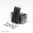 Gamers Grass GGLP-BMT - Black Magic Taro