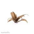 Gamers Grass GGLP-DF - Deer Fern