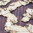 PWork Wargames PWFT00350MDF - MDF RPG Tiles The Cave