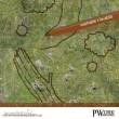 PWork Wargames PWRPG00500P36X48 - RPG Combat Map Forest 36X48´
