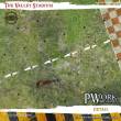 PWork Wargames BB00900N - Neoprene Mat The Valley Stadium