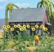 Busch 1261 - Riesen-Sonnenblumen