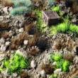 Gamers Grass GGSET-TW - Toxic Waste Set
