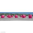 HQ 126350 - Bouncing Buddy Porky