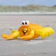 HQ 126356 - Bouncing Buddy Billy the Crab